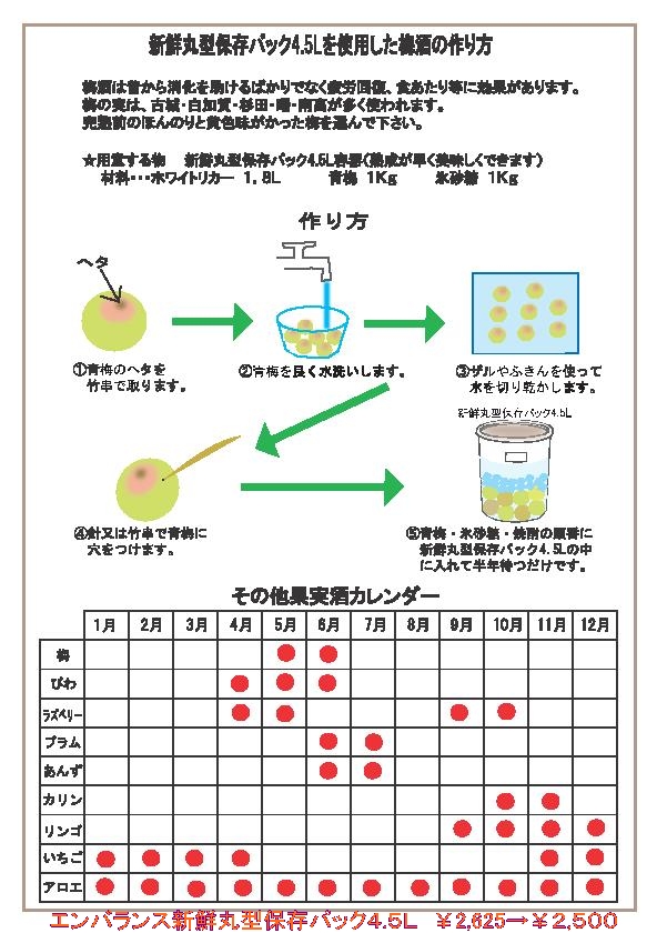 %E6%A2%85%E9%85%92%E3%81%AE%E4%BD%9C%E3%82%8A%E6%96%B9.jpg