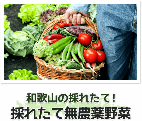 無農薬野菜