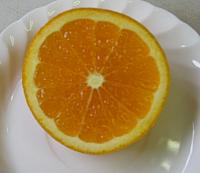 <常温>低農薬清見オレンジ9Kg