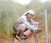 生産農家の堀内さん
