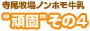 頑固その4