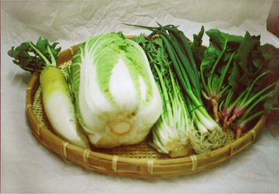 野菜セット 5品目