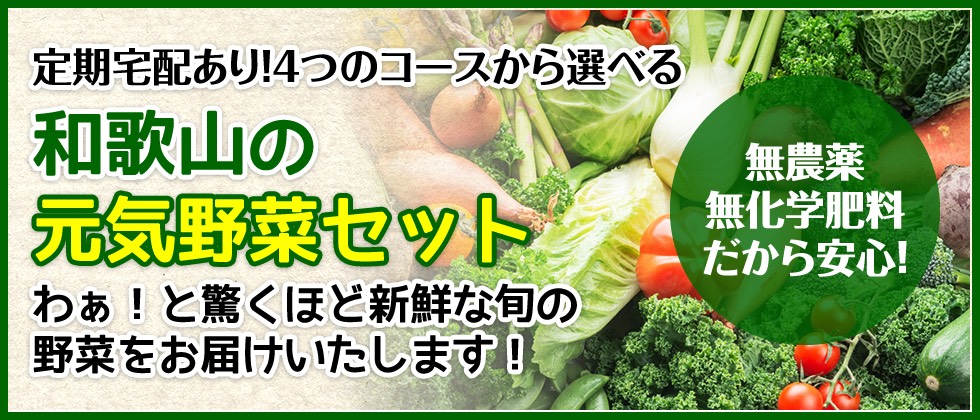 和歌山の元気野菜セット・定期宅配のご案内