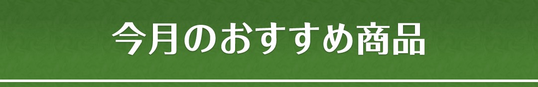今月のおすすめ商品