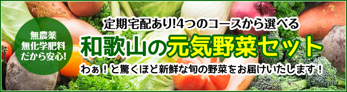 和歌山の元気野菜セット・定期宅配のご案内